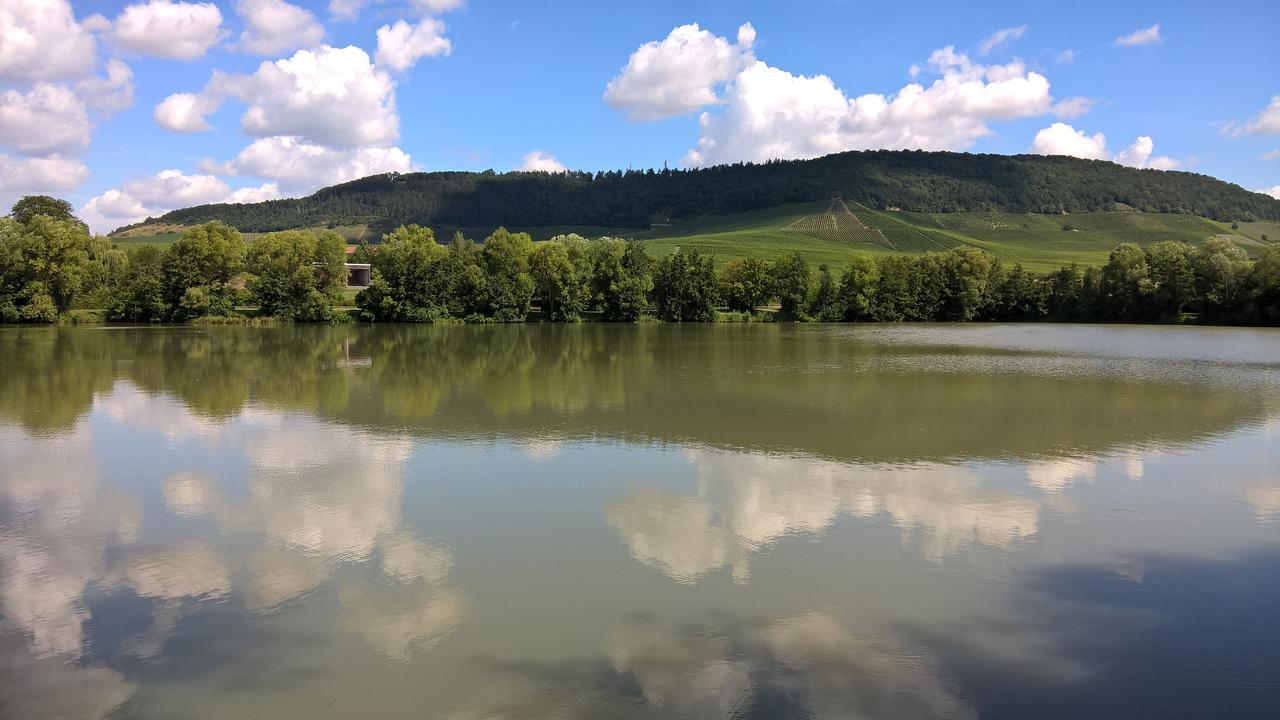 Das Kleine Hotel Iphofen, Fruehstueckszauber, No Waste, Nachhaltig, Nahe Aller Weingueter, Knauf Gips Kg Und Connekt, Kleines Secret Mit Garten & Terrassen, Tv Mirrorring, 55" Tv, Fine Dining, Hunde Willkommen Extérieur photo